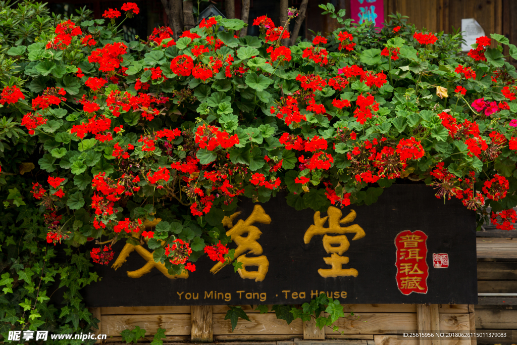 束河古鎮(zhèn)
