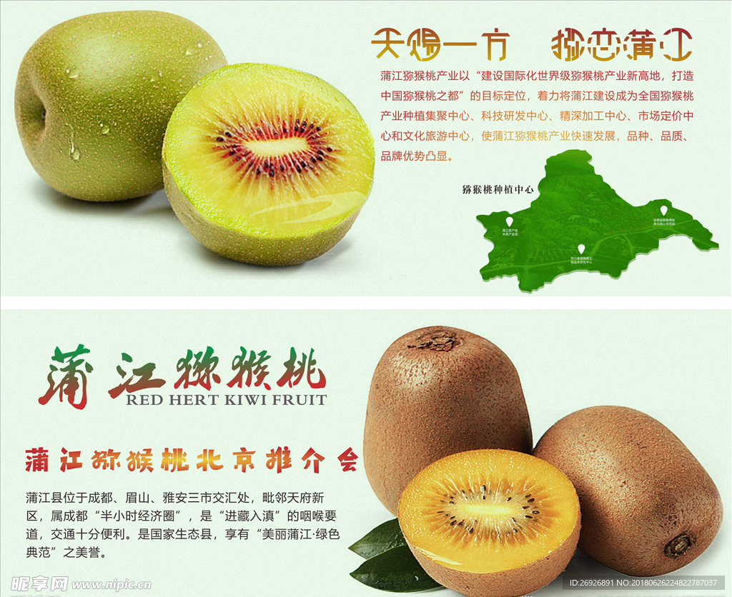 浦江猕猴桃农业种植基地海报