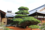 日本金阁寺、