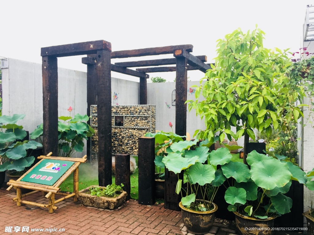 庭院