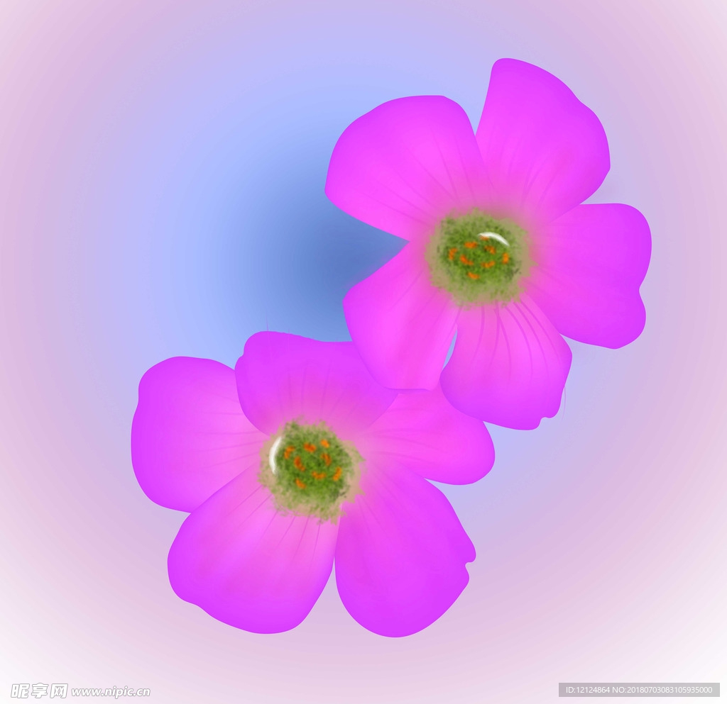 唯美粉紫色花卉