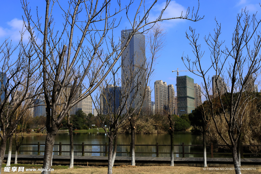 艾溪湖濕地公園