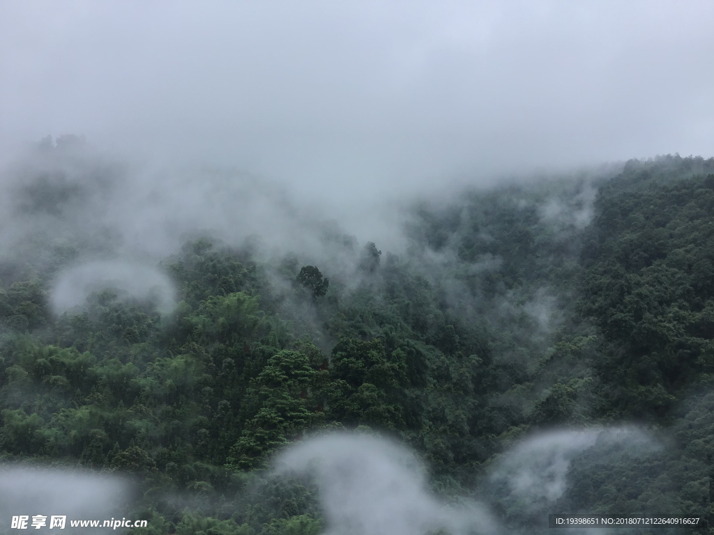 高山霧