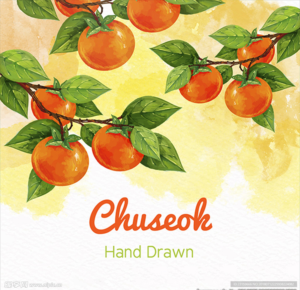 手绘水彩风格柿子插图