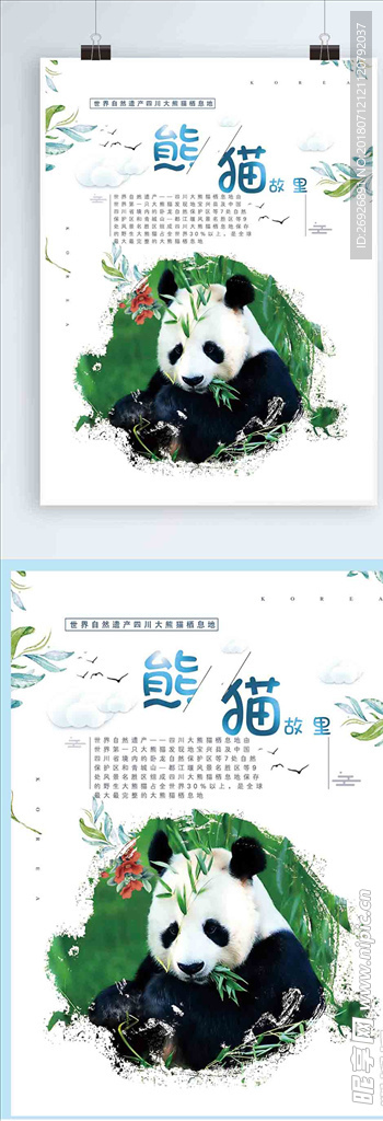 四川国宝大熊猫故里珍惜动物海报