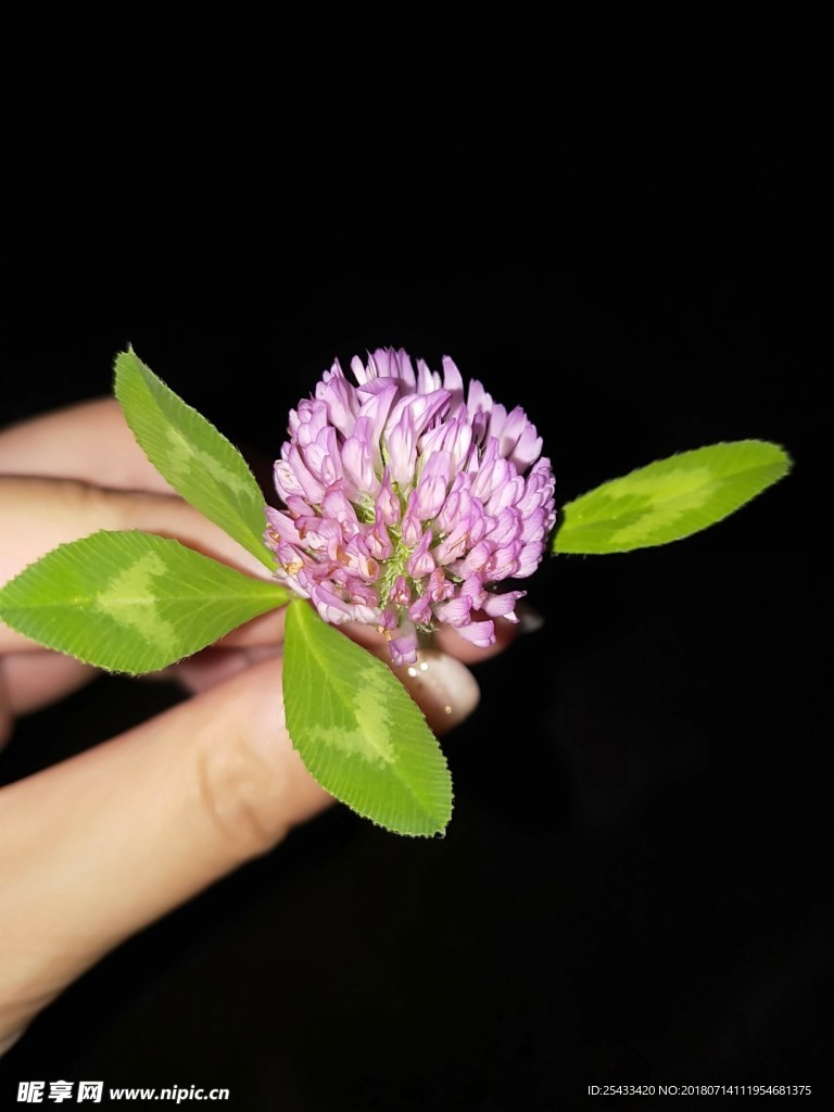 花
