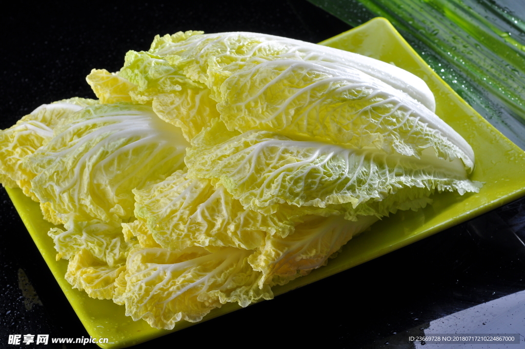 娃娃菜