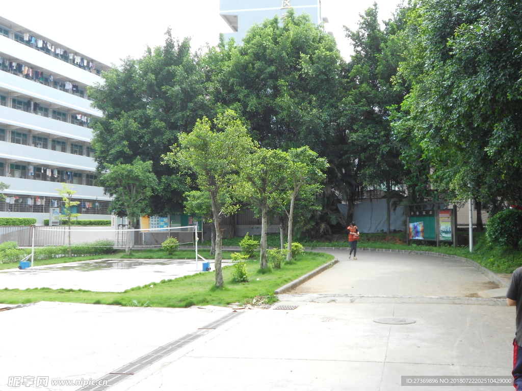 校園綠化設(shè)計(jì)
