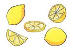 矢量黄色彩色水果柠檬