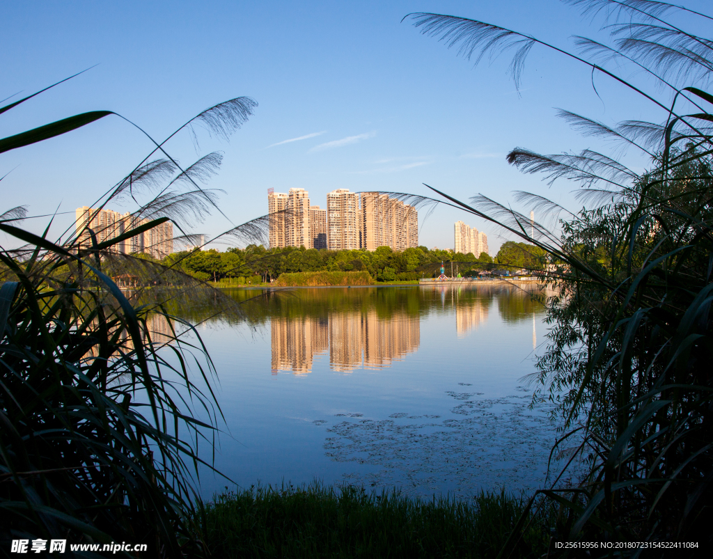 長沙月湖公園