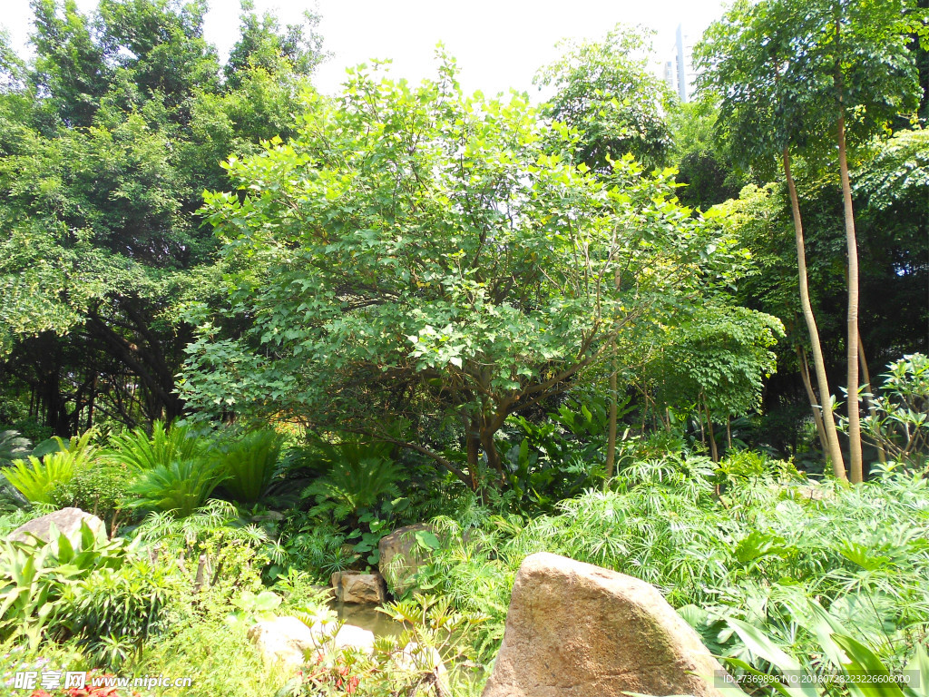 公園綠化