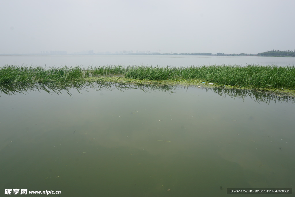 河道風光