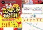 跆拳道宣传单彩页