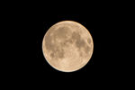 月亮 圆月 清晰 高清素材