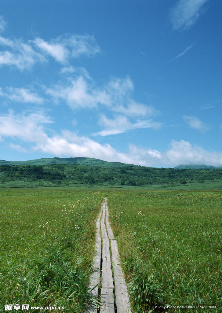 田間道路