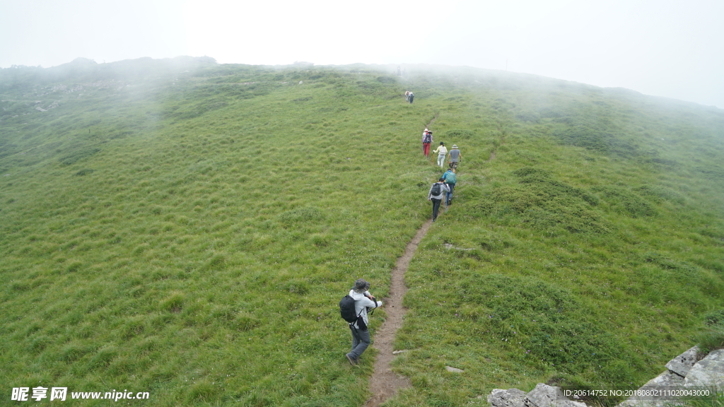 穿越高山草地