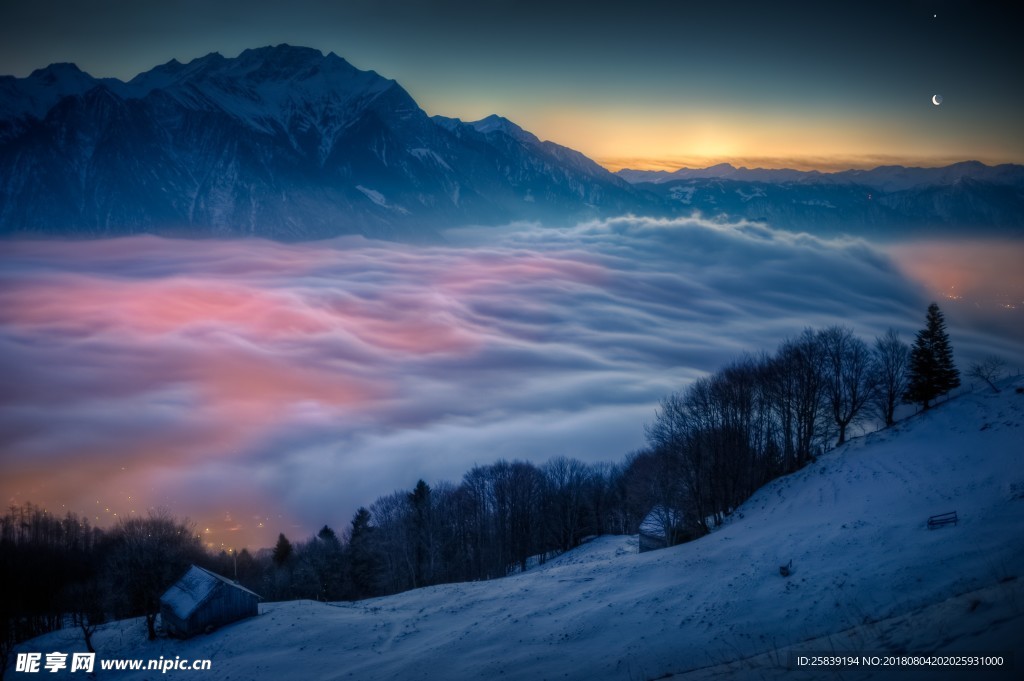 高山 山峰 雪山 森林  樹(shù)林
