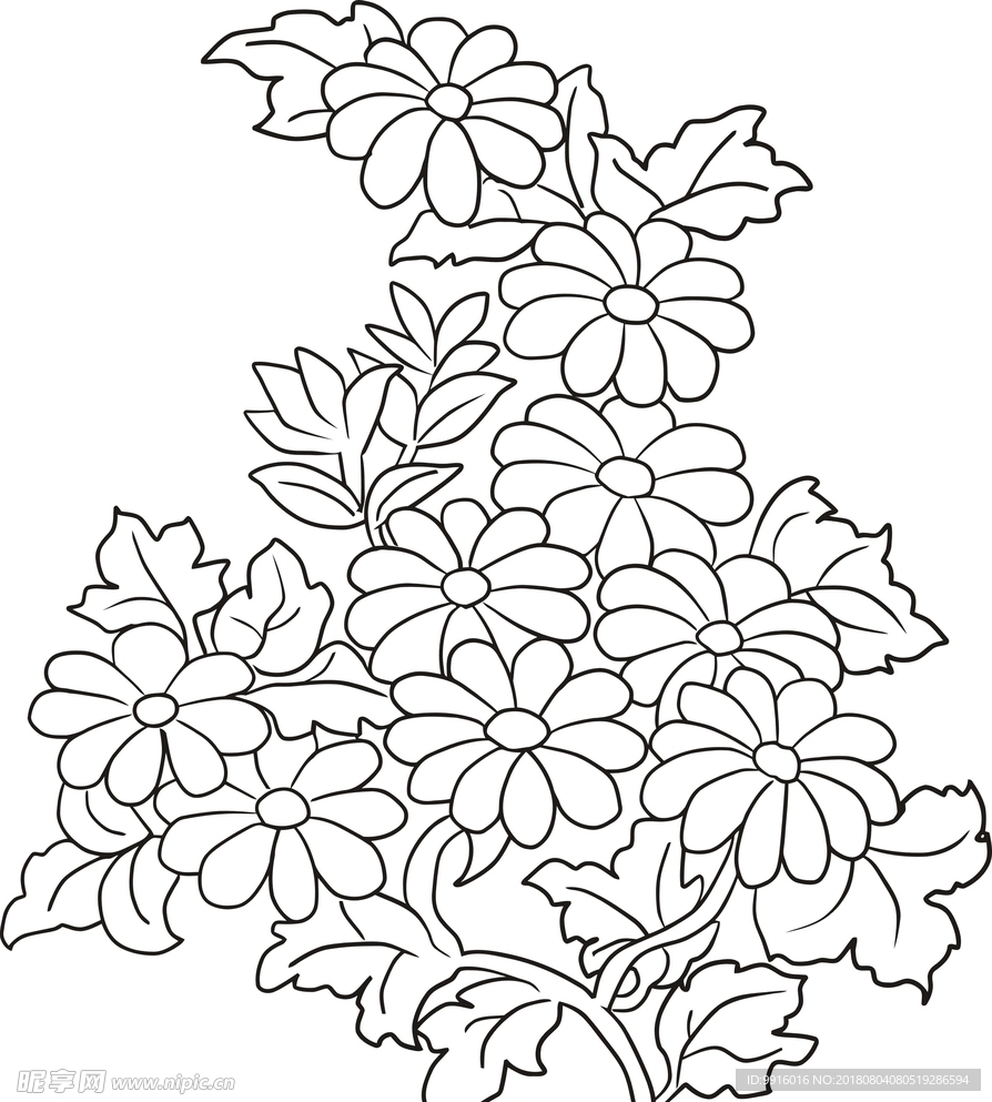 花卉花朵线描