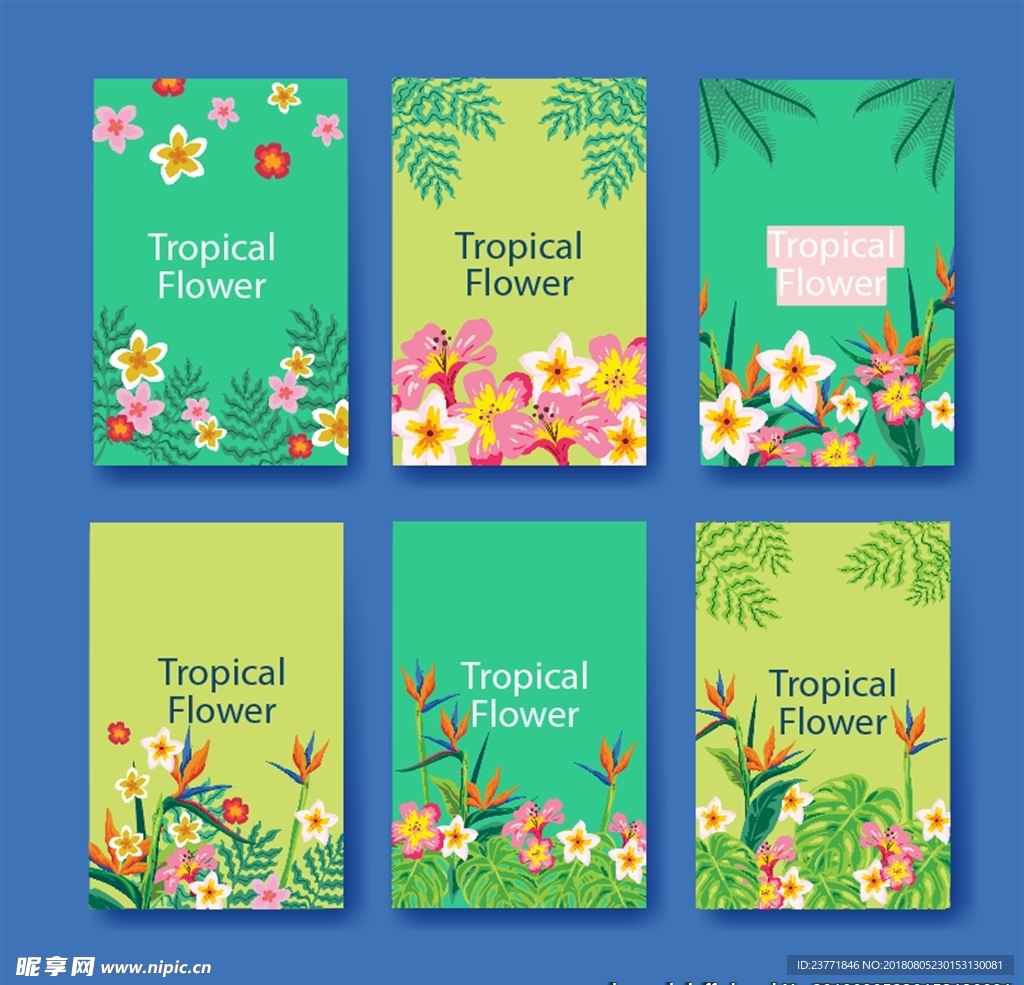 热带树叶卡片