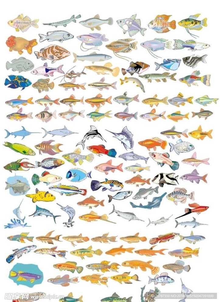 海洋鱼类生物