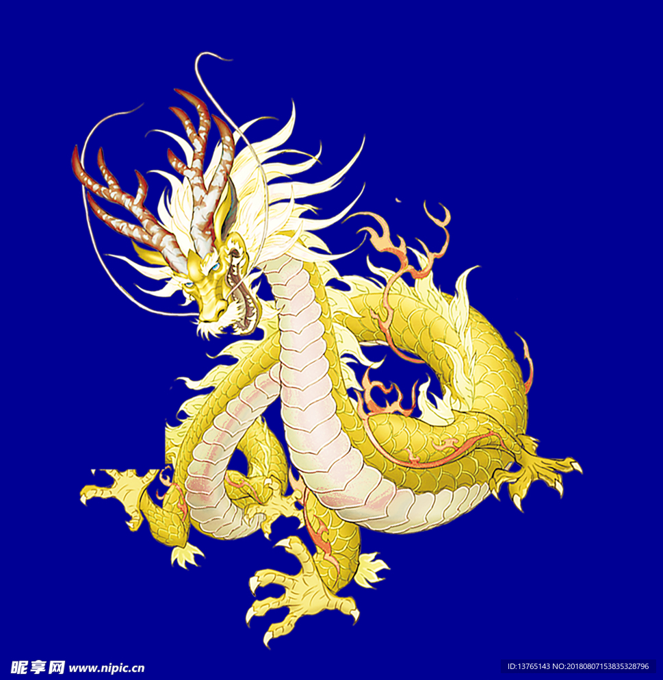 金龍