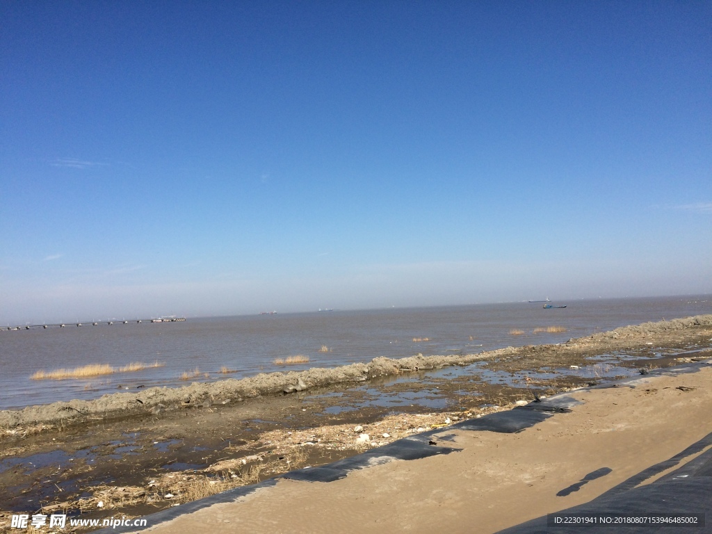 风景 沙滩 青青 阳光 湖 水