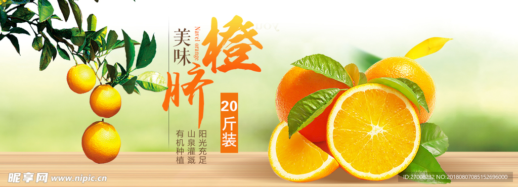 banner  橙子 脐橙