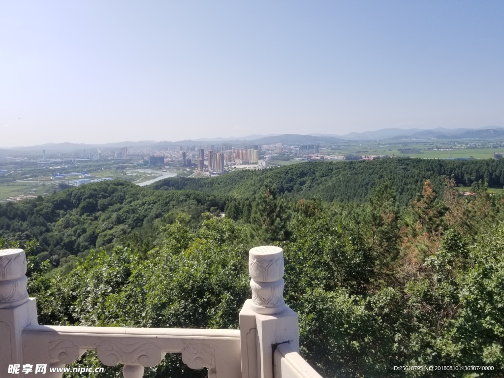 山 樹 樹林 山水 風景