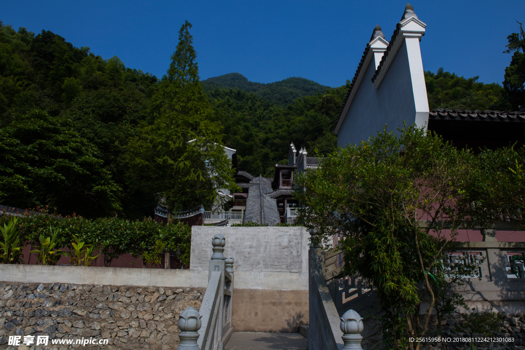 楊岐普通寺