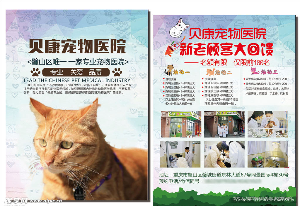 貝康寵物