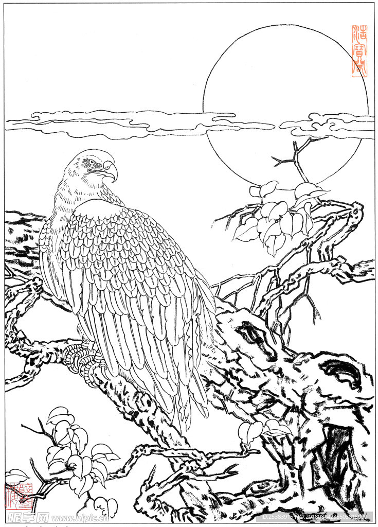 鷹