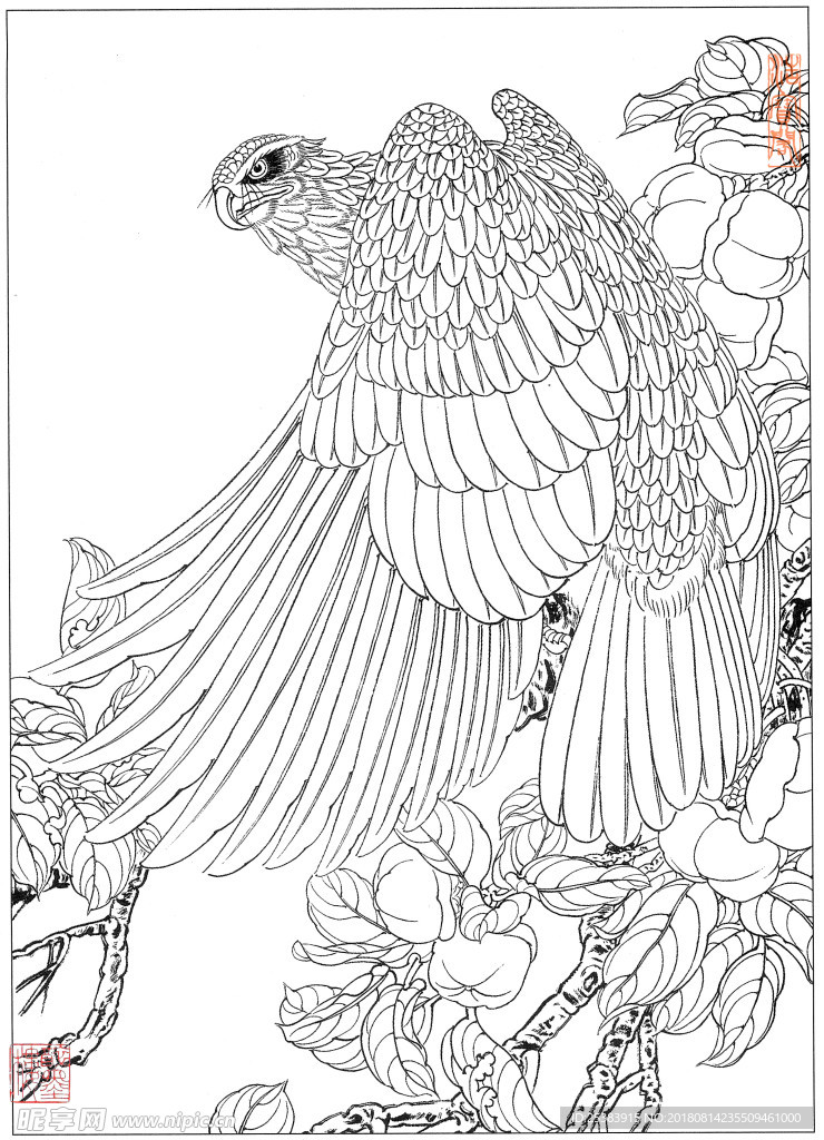 鷹