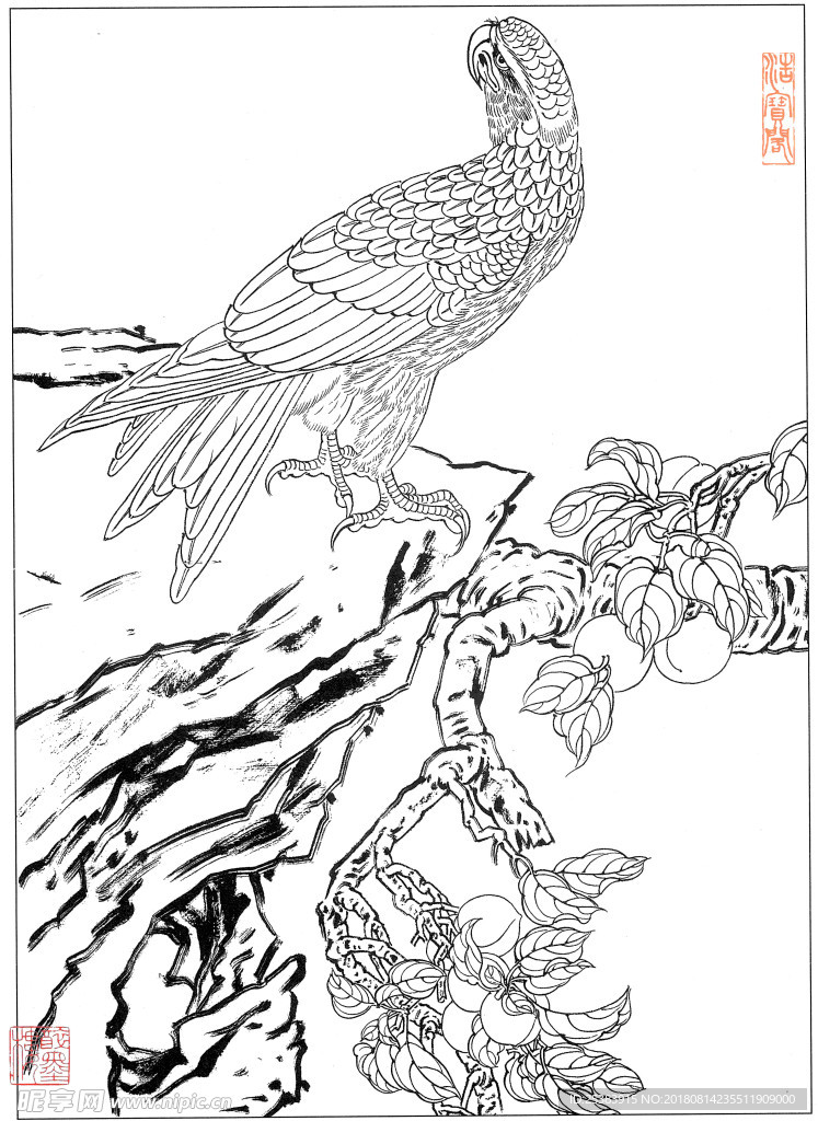 鷹