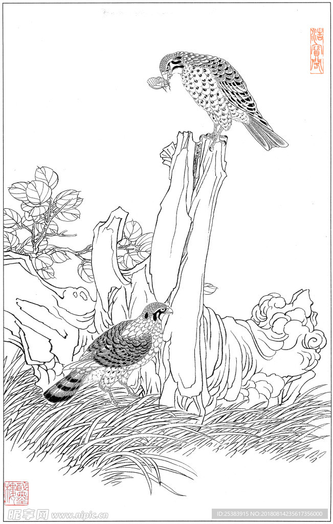 鷹