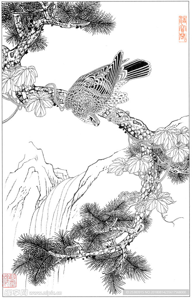 鷹