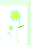 小藍花