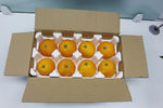 金堂脐橙  橙子包装盒 鲜果