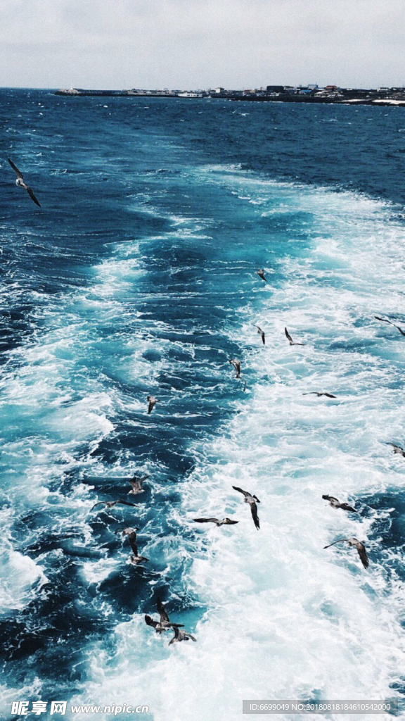 大海 浪花 海邊 海浪 海水