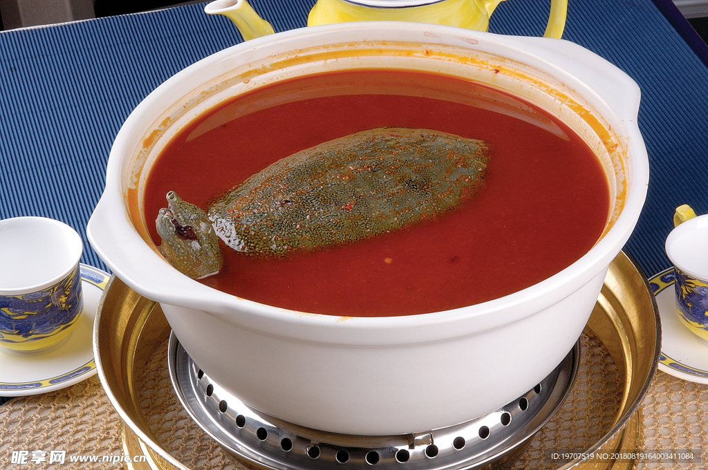 甲魚王