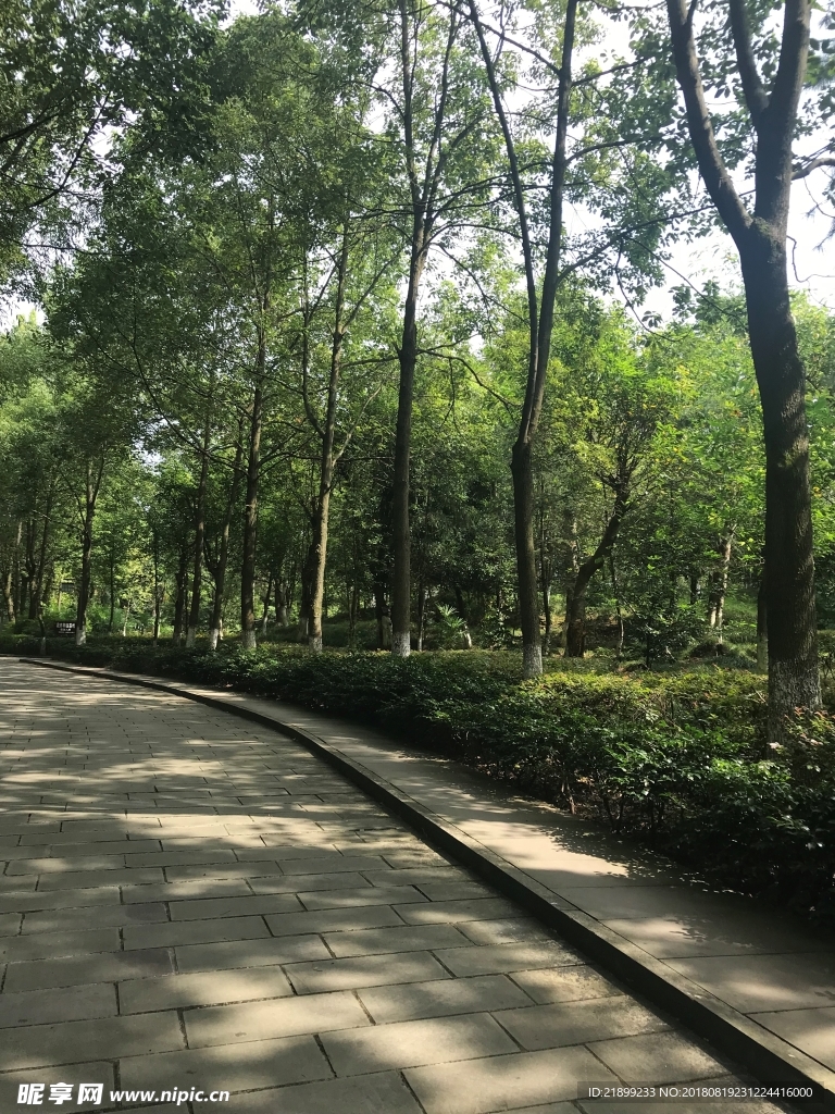 道路