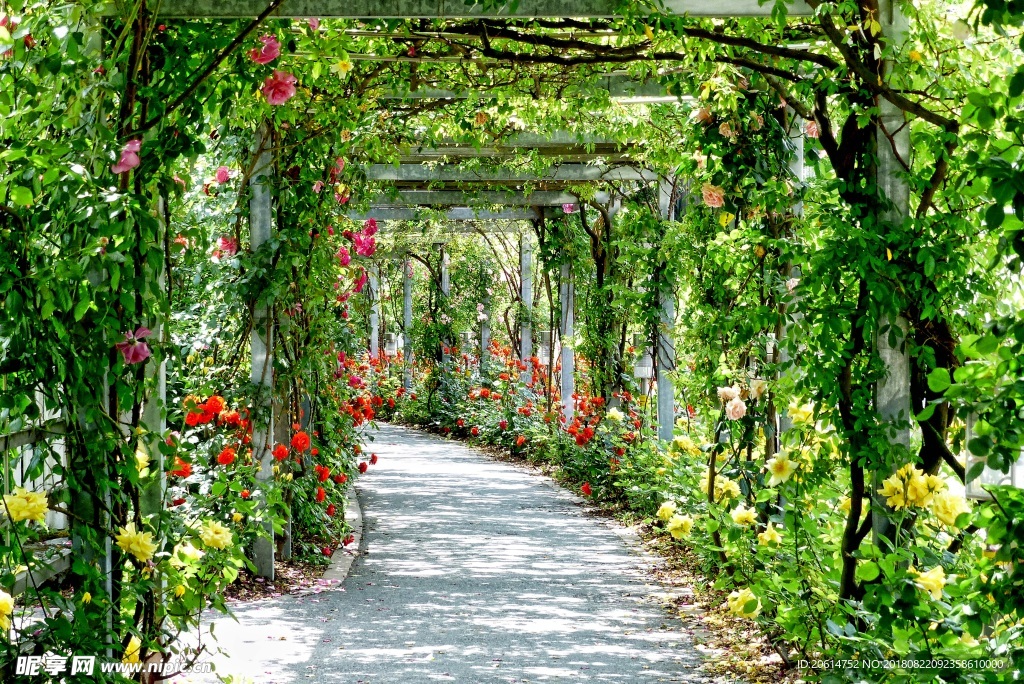 綠色如茵的公園走廊