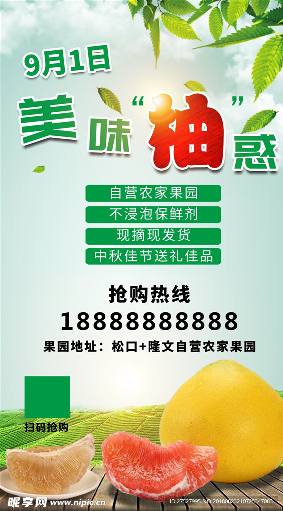 客家柚海報