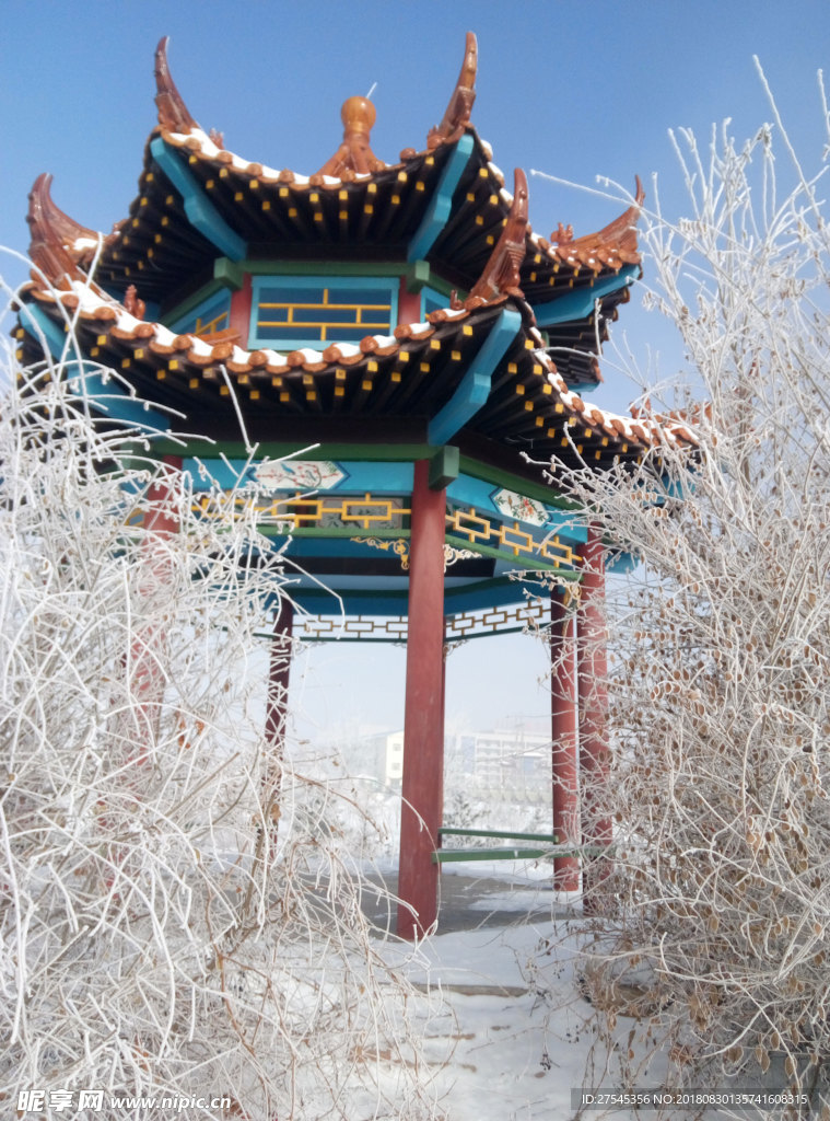 樹掛