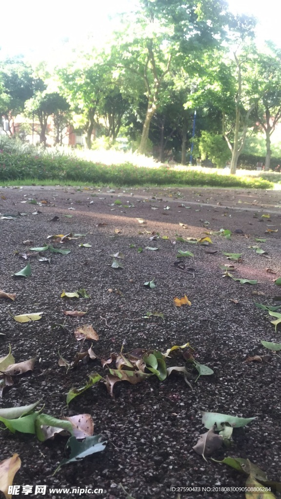 公園小路