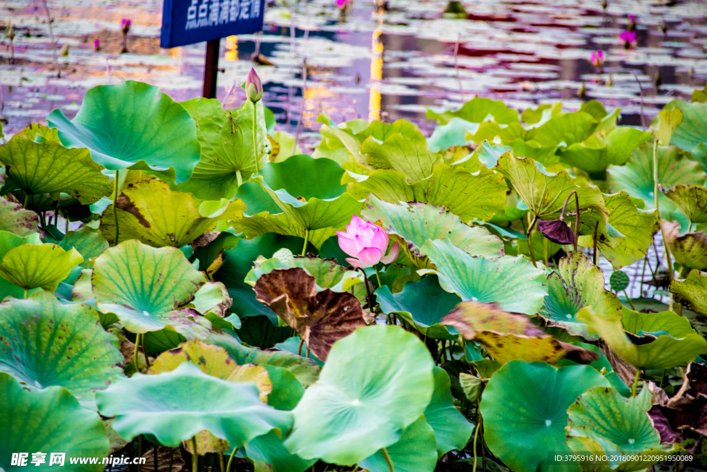 秀嶼區(qū)公園一角