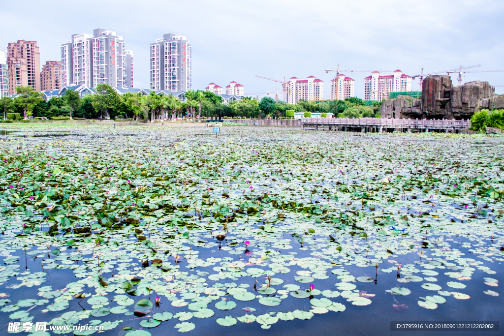 秀嶼區(qū)公園一角