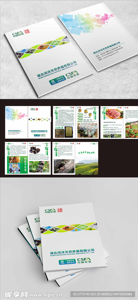 神农架生态养殖业产品画册宣传
