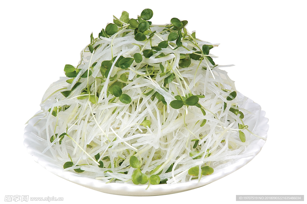 蘿卜絲