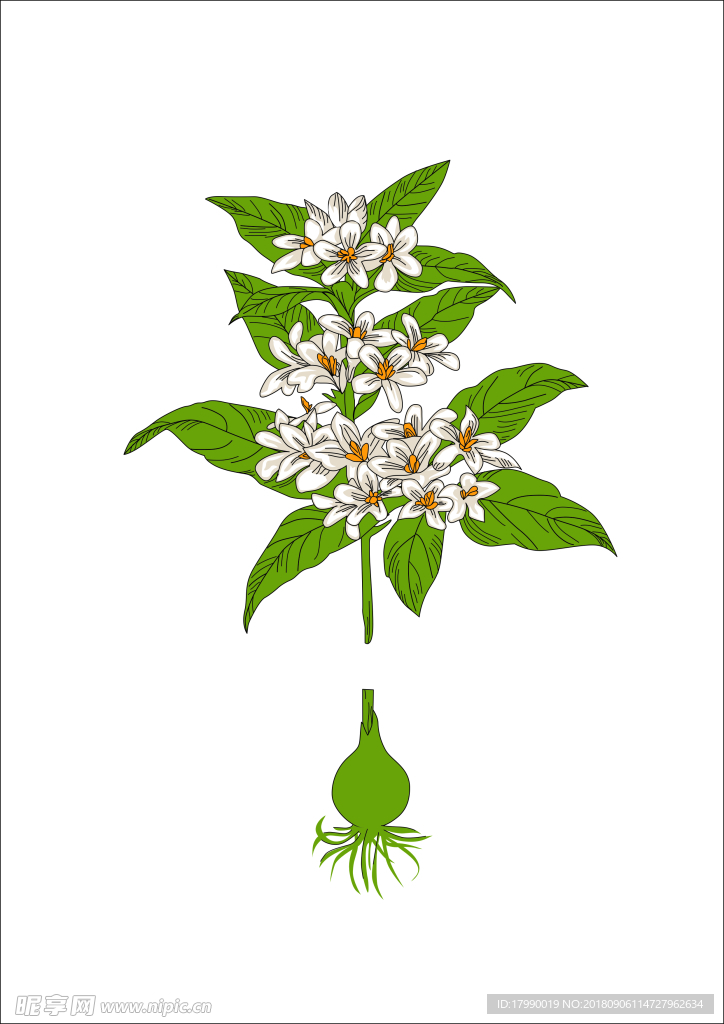 花