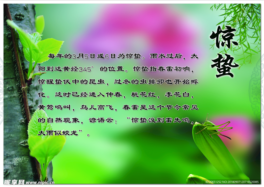 【二十四節氣】驚蟄